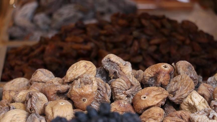  صادرات بیش از 403 میلیون دلاری خشکبار از ترکیه طی 3 ماه اول امسال