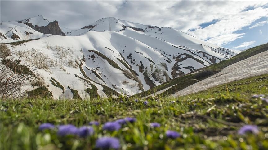  جذابیت زیبایی‌های بهار در تونجلی ترکیه