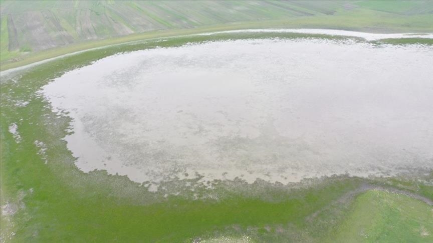  دریاچه کویوجوک ترکیه میزبان 23 گونه پرنده