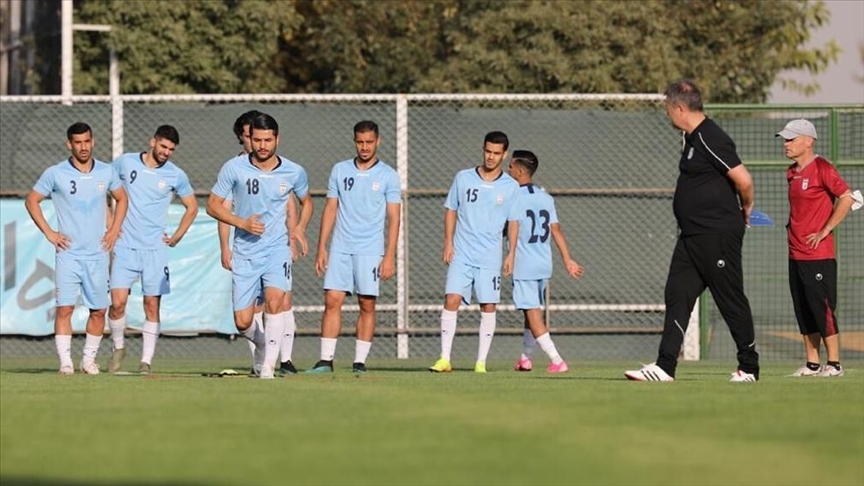  درختان خشک تهران به مجسمه تبدیل شدند