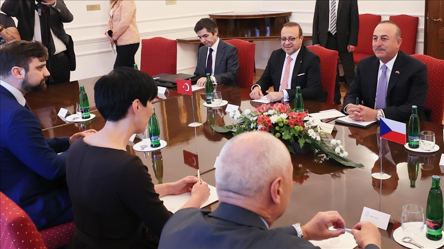  دیدار چاووش‌اوغلو با رئیس مجلس نمایندگان چکیا