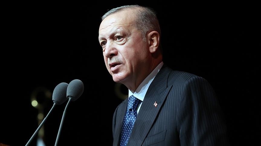  اردوغان: بار اصلی بحران مهاجرت بر دوش ترکیه است