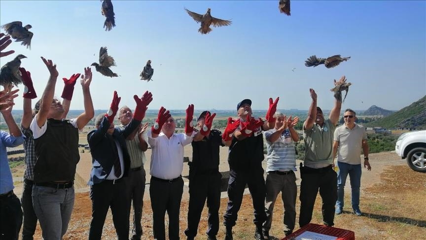  اردوغان و دبیرکل ناتو درباره درخواست عضویت سوئد و فنلاند رایزنی کردند