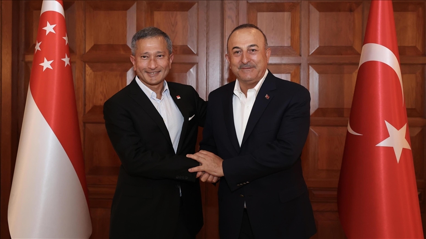  دیدار وزرای خارجه ترکیه و سنگاپور
