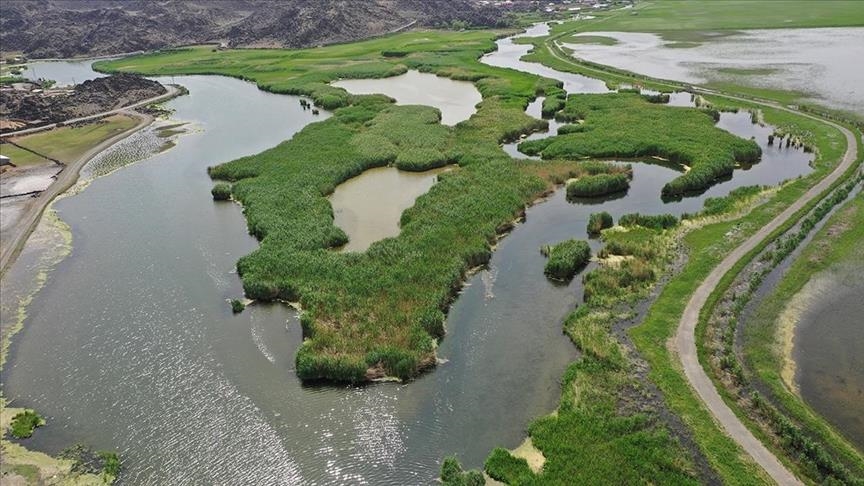  پارک ملی کوه آغری ترکیه میزبان پرندگان مهاجر