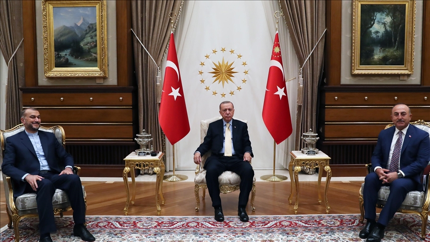  دیدار اردوغان با امیرعبداللهیان