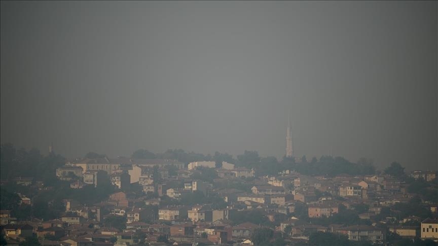  آتش‌سوزی گسترده در جنگل‌های نزدیک مرز بلغارستان با ترکیه