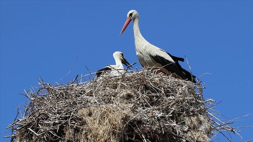  روستای لک‌لک‌ها در ترکیه