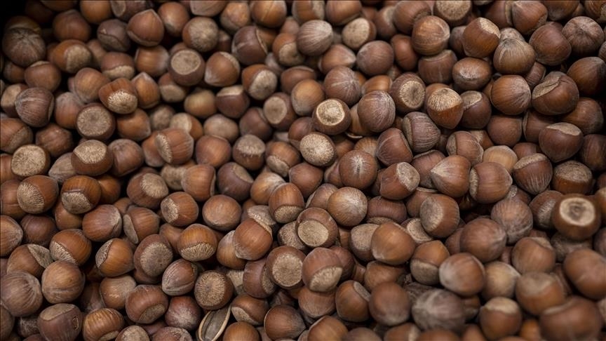  ترکیه طی 11 ماه از صادرات فندق 2.4 میلیارد دلار درآمد کسب کرد 