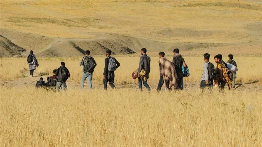 اخراج گسترده مهاجران افغان از ایران؛ بحران نیروی کار و افزایش هزینه‌های تولید در صنایع کلیدی