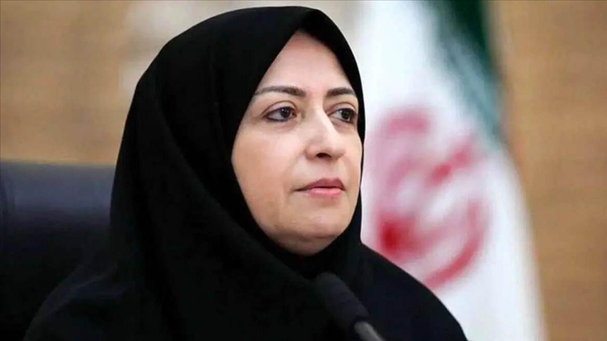  انصاری: بحران‌های محیط زیست در ایران وارد متن زندگی مردم شده است