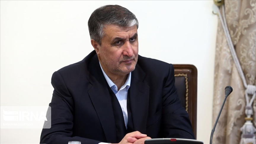اسلامی: نظارت بازرسان آژانس بر فرآیند تعویض سوخت نیروگاه بوشهر انجام شد 