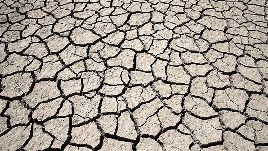 مرادی: نمایش دَلی دؤمرؤل فداکاری و عشق حقیقی را روایت می‌کند