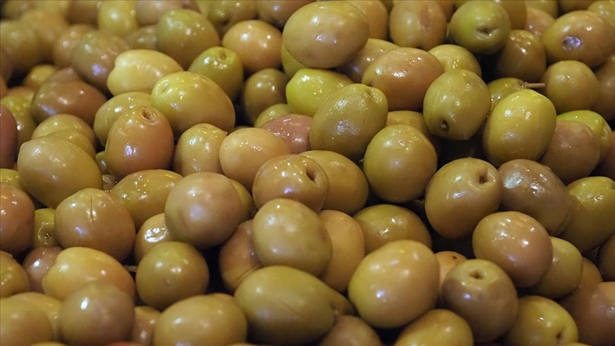  وزرای خارجه 8 کشور از جمله ترکیه از گام‌های حماس برای پایان جنگ در غزه حمایت کردند