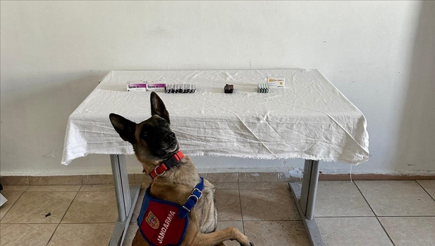  کشف صدها قرص روان گردان از یک شهروند ایرانی در شرق ترکیه