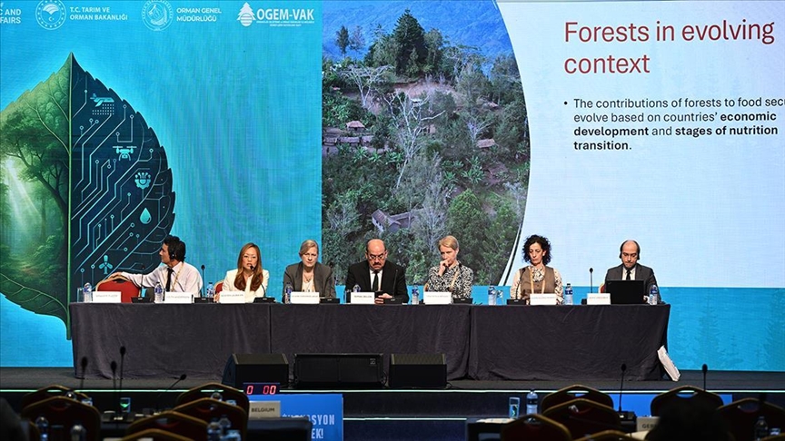  بررسی اهمیت جنگل‌ها در هفته نوآوری جنگل استانبول 