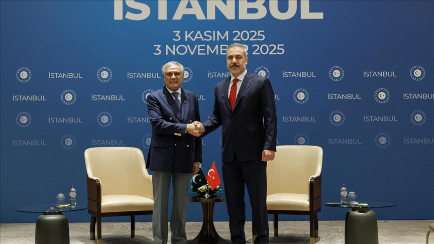 دیدار وزرای خارجه ترکیه و پاکستان در استانبول