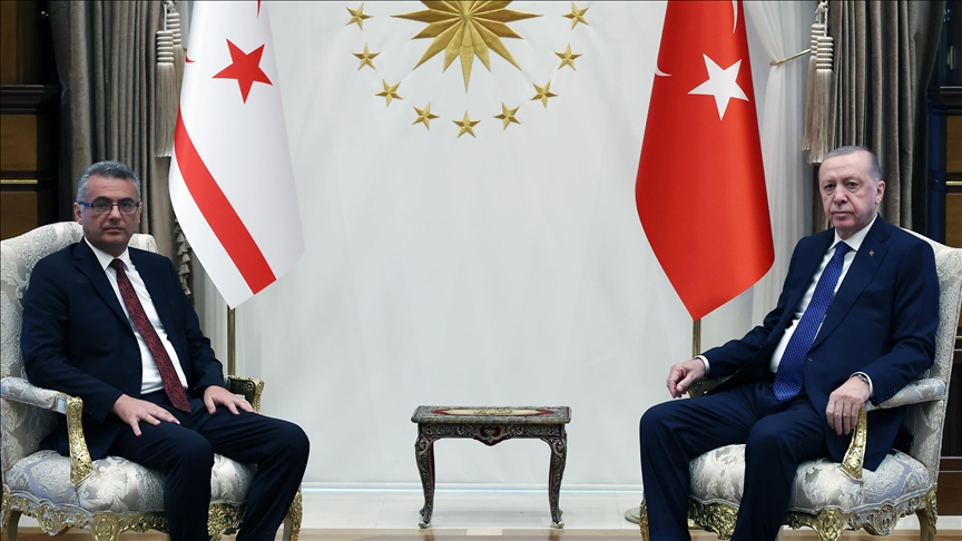 دیدار اردوغان و ارهورمان در آنکارا 