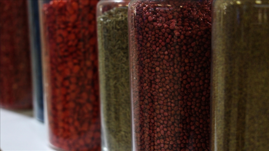 ترکیه بذر خود را به 121 کشور جهان صادر می‌کند