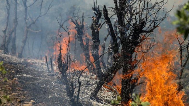  آتش‌سوزی جنگل‌های الیت مهار شد