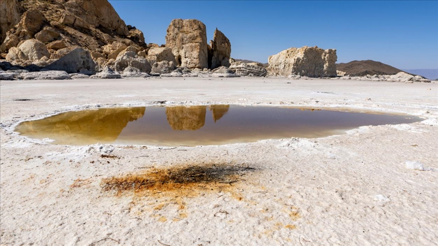 اعلام آمادگی فائو و دولت ژاپن برای احیای دریاچه ارومیه