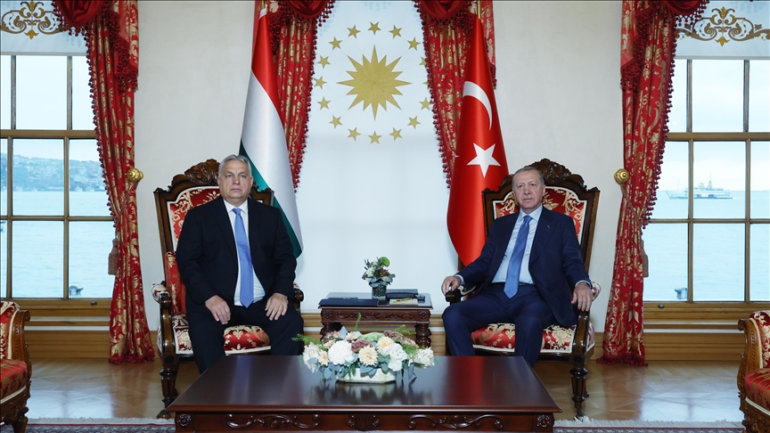 دیدار رئیس‌جمهور ترکیه و نخست‌وزیر مجارستان در استانبول