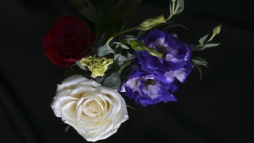 صادرات 12 میلیون دلاری گل از ترکیه به مناسبت سال نو میلادی