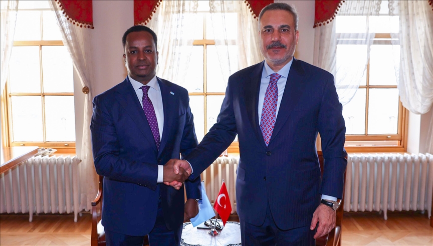 دیدار وزرای امور خارجه ترکیه و سومالی در استانبول