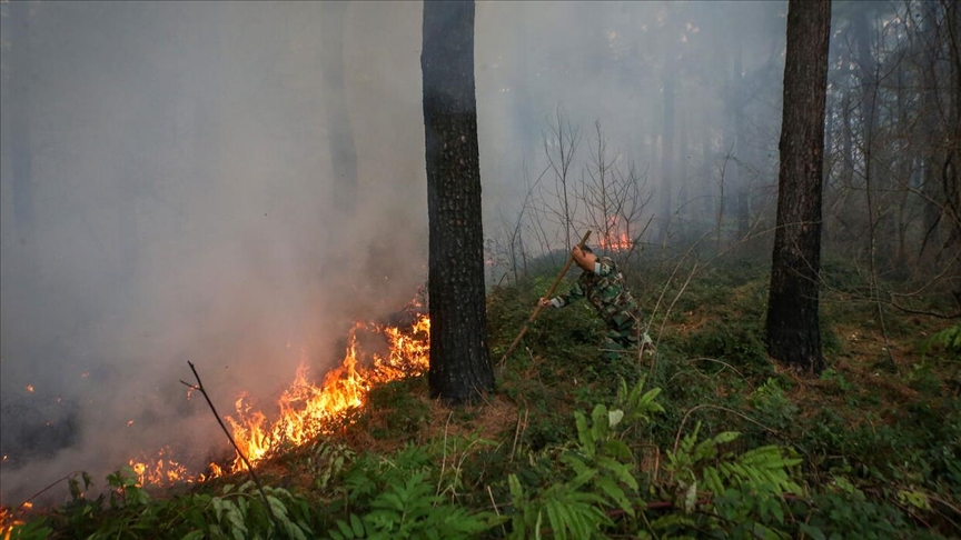  آتش‌سوزی در جنگل‌های هفت منطقه استان گیلان
