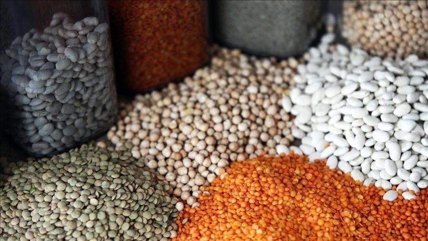  صادرات غلات ترکیه در سال گذشته از ۱۲.۳ میلیارد دلار گذشت