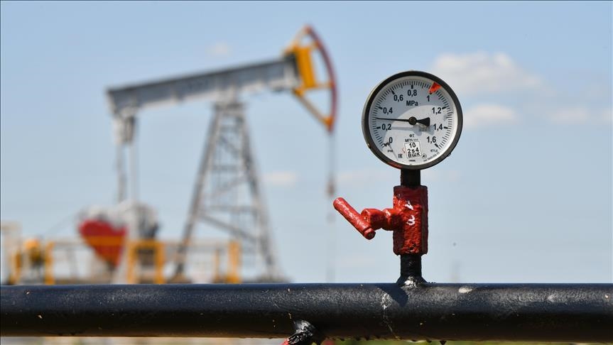  بقائی: صحبت‌ها درباره اعدام 800 نفر در ایران غیرمسئولانه و غیر واقعی است