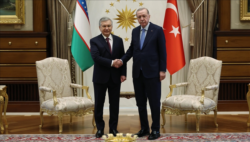  اردوغان: کشورهای ترک در همکاری نزدیک هستند